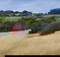Estate to Plate Montalto Vineyard Gourmet Lunch and Wine-Tasting Tour - Accommodation Asia