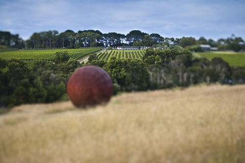 Estate To Plate: Montalto Vineyard Gourmet Lunch And Wine-Tasting Tour - Accommodation Asia 0