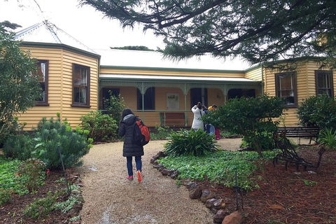 Day Tour Of Phillip Island Nature Parks & Penguins - Accommodation Asia 7