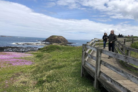 Day Tour Of Phillip Island Nature Parks & Penguins - Accommodation Asia 10