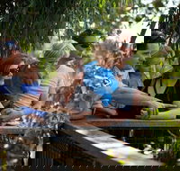 Phillip Island 3 Park Pass Penguin Parade Koala Conservation Centre and Penguin Parade Koala ConservationHeritage Farm - Accommodation Asia