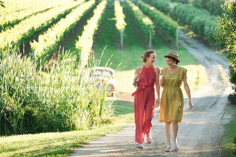 Montalto Vineyard: Mornington Peninsula Discovery Wine Tasting And Lunch - Accommodation Asia 5