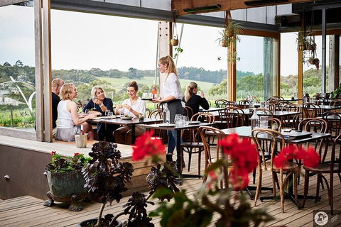 Montalto Vineyard: Mornington Peninsula Discovery Wine Tasting And Lunch - Accommodation Asia 4