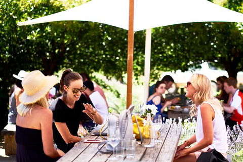 Montalto Vineyard: Mornington Peninsula Discovery Wine Tasting And Lunch - Accommodation Asia 3