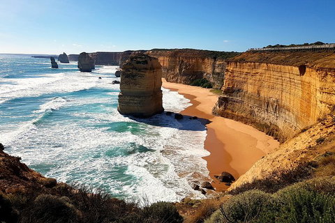 Helicopter Flight + Fine Dining Private Luxury Great Ocean Road Tour - Accommodation Guide 12