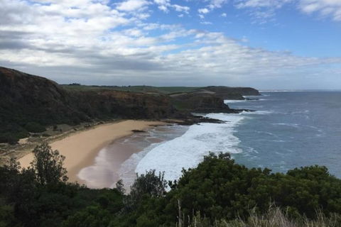 Phillip Island, George Bass Coastal Walk And Penguins Tour - Accommodation Asia 0