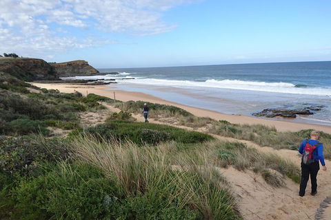 Phillip Island, George Bass Coastal Walk And Penguins Tour - Accommodation Asia 1