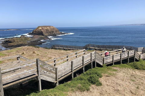 Phillip Island, George Bass Coastal Walk And Penguins Tour - Accommodation Asia 7