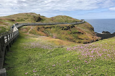 Phillip Island, George Bass Coastal Walk And Penguins Tour - Accommodation Asia 6