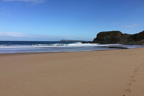 Phillip Island, George Bass Coastal Walk And Penguins Tour - Accommodation Asia 8
