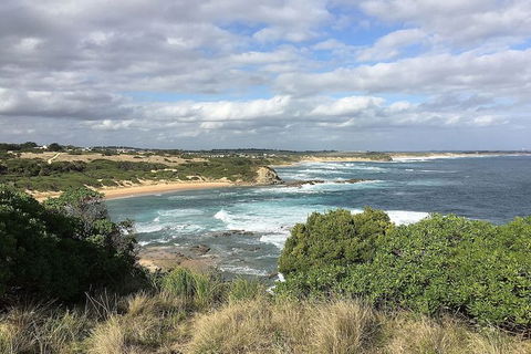 Phillip Island, George Bass Coastal Walk And Penguins Tour - Accommodation Asia 5