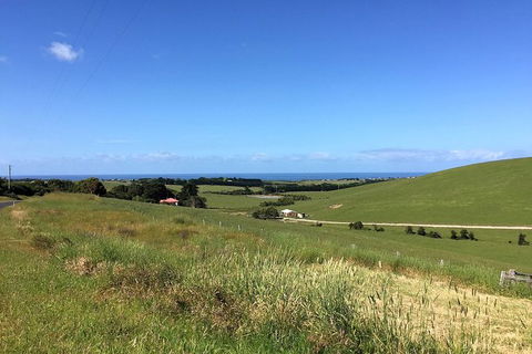 Phillip Island, George Bass Coastal Walk And Penguins Tour - Accommodation Asia 10