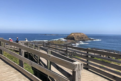 Day Tour Of Phillip Island, The Surrounding Region And Wine Tasting - Accommodation Asia 14