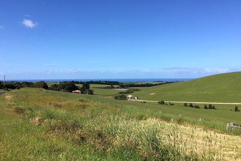 Day Tour Of Phillip Island, The Surrounding Region And Wine Tasting - Accommodation Asia 6