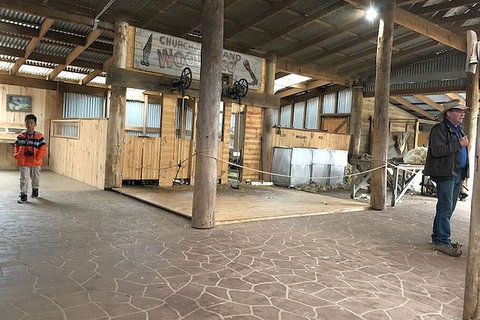 Day Tour Of Phillip Island, The Surrounding Region And Wine Tasting - Accommodation Asia 8