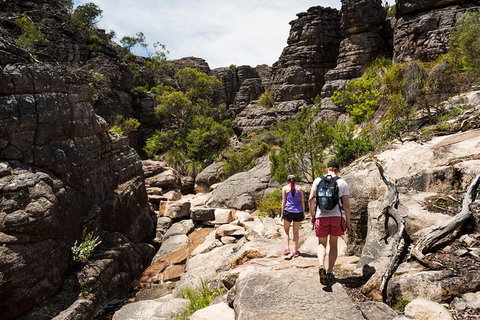 Grampians National Park With Kangaroos And MacKenzie Falls From Melbourne - Accommodation Guide 1