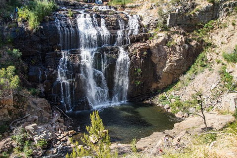 Grampians National Park With Kangaroos And MacKenzie Falls From Melbourne - Accommodation Guide 6