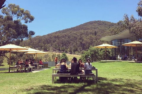CHEVY CONVERTIBLE Package For 2 People- Wine Lunch Cheese & Chocolate From Melb. - Accommodation Guide 6