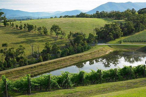 CHEVY CONVERTIBLE Package For 2 People- Wine Lunch Cheese & Chocolate From Melb. - Accommodation Guide 9