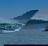 Phillip Island Wildlife Cruise with Optional Penguin Parade and 3 Park Pass - Accommodation China