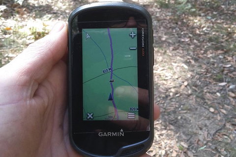 GPS Guided Walks In The Daylesford Forest - Accommodation Guide 0