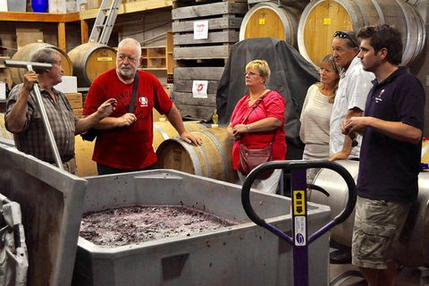 5 Hour Private Wine Tour - Accommodation Guide 0