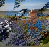 Port Arthur and Lavender Farm Active Day Tour - Accommodation China