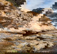 Maria Island premium private photo-oriented day tour from Hobart - Accommodation China