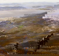 Mt Wellington Half Day Guided Summit Hike - Accommodation China