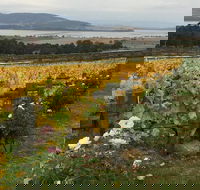 Mona and Wine Experience Tour - Accommodation China