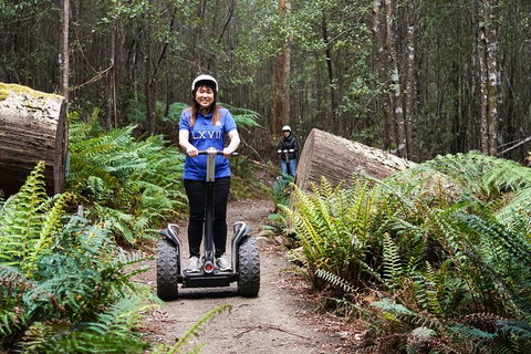 Hollybank Wilderness Adventures - Segway Tour - Accommodation China 0