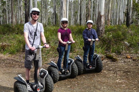 Hollybank Wilderness Adventures - Segway Tour - Accommodation China 3