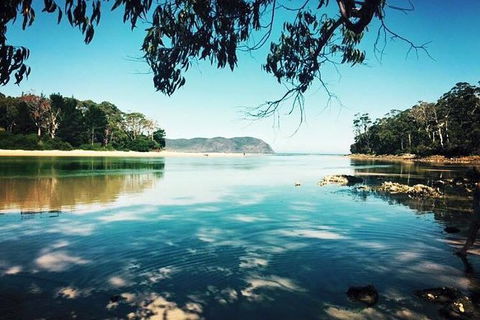 Full-Day Guided Bruny Island Tour From Hobart - Accommodation China 1