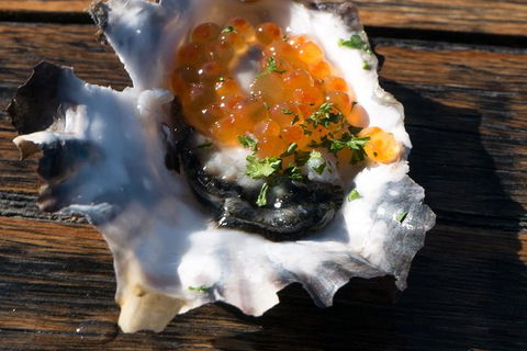 East Coast Splendour Gourmet Food Tour - Accommodation Guide 7