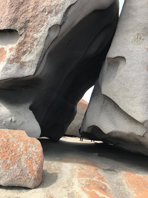 Kangaroo Island In A Day Tour From Adelaide - Accommodation Guide 7