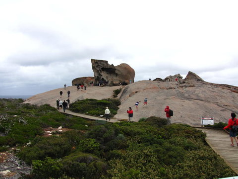 Kangaroo Island In A Day Tour From Adelaide - Accommodation Guide 21
