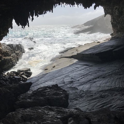 Kangaroo Island In A Day Tour From Adelaide - Accommodation Guide 5