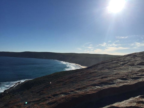 Kangaroo Island In A Day Tour From Adelaide - Accommodation Guide 17
