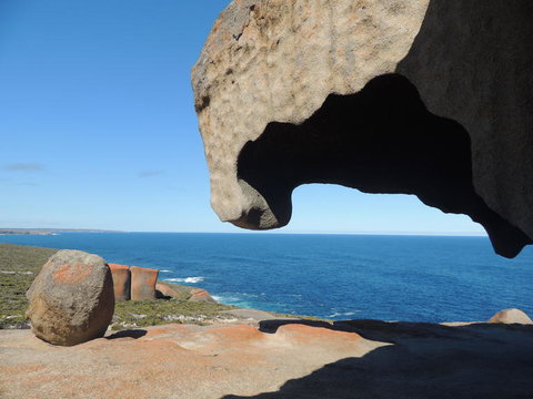 Kangaroo Island In A Day Tour From Adelaide - Accommodation Guide 13