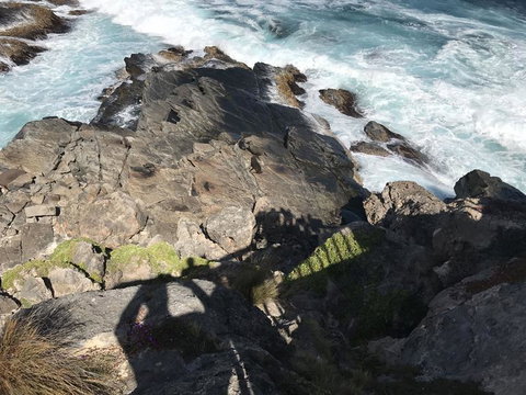 Kangaroo Island In A Day Tour From Adelaide - Accommodation Guide 3