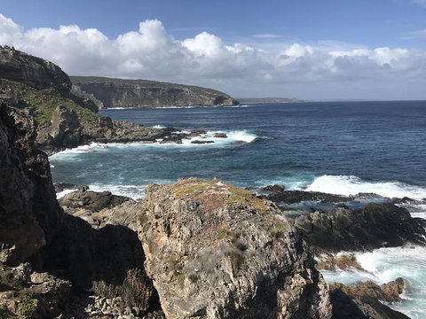 Kangaroo Island In A Day Tour From Adelaide - Accommodation Guide 4