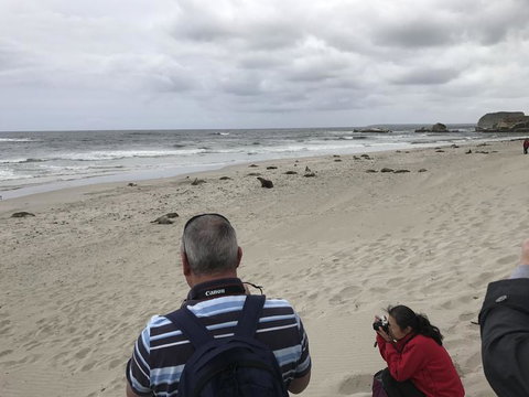 Kangaroo Island In A Day Tour From Adelaide - Accommodation Guide 10