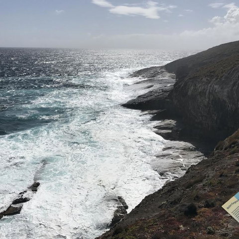 Kangaroo Island In A Day Tour From Adelaide - Accommodation Guide 6