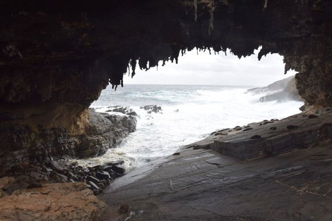 Kangaroo Island In A Day Tour From Adelaide - Accommodation Guide 18