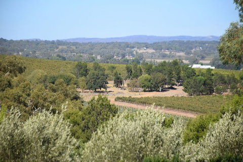 Barossa Valley Food And Wine Tour - Accommodation Guide 2