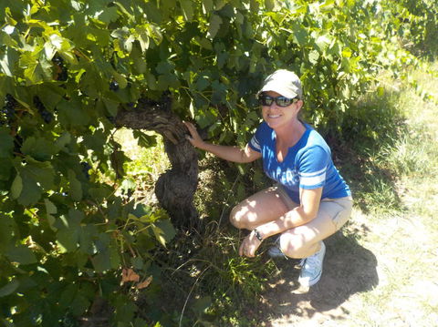 Barossa Valley Wineries Tour With Tastings And Lunch From Adelaide - Accommodation China 11
