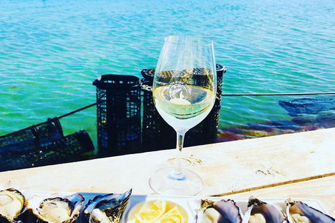 Coffin Bay Oyster Farm & Tasting Tour - Accommodation China 11