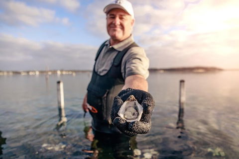 Coffin Bay Oyster Farm & Tasting Tour - Accommodation China 3