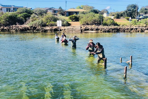 Coffin Bay Oyster Farm & Tasting Tour - Accommodation China 6