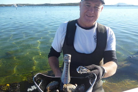 Coffin Bay Oyster Farm & Tasting Tour - Accommodation China 2